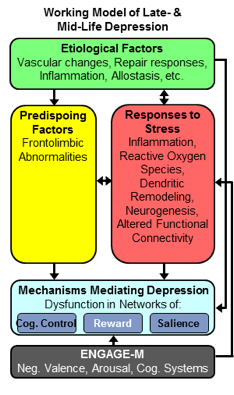 A Novel Neurobiology Based Psychotherapy